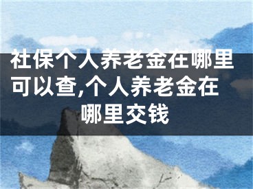 社保個(gè)人養(yǎng)老金在哪里可以查,個(gè)人養(yǎng)老金在哪里交錢(qián)