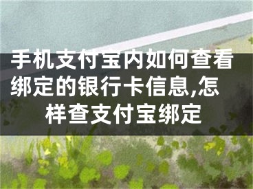 手機支付寶內如何查看綁定的銀行卡信息,怎樣查支付寶綁定