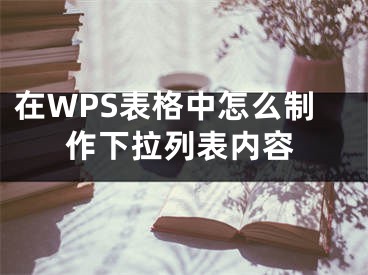 在WPS表格中怎么制作下拉列表內(nèi)容