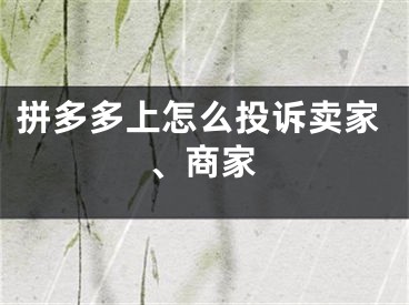 拼多多上怎么投訴賣家、商家