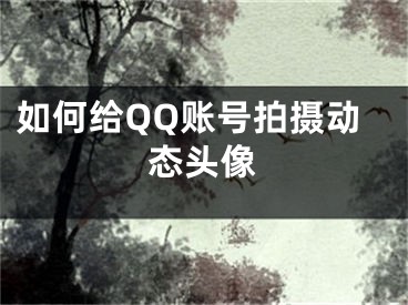 如何給QQ賬號拍攝動態(tài)頭像