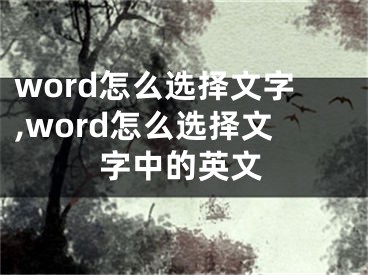 word怎么選擇文字,word怎么選擇文字中的英文