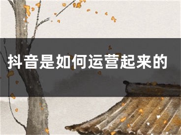 抖音是如何運(yùn)營起來的