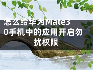 怎么給華為Mate30手機(jī)中的應(yīng)用開(kāi)啟勿擾權(quán)限