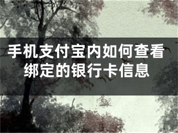 手機支付寶內(nèi)如何查看綁定的銀行卡信息