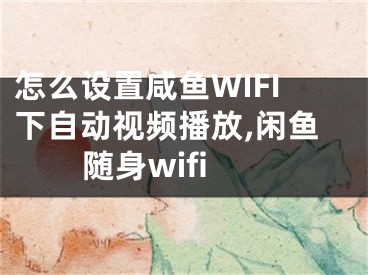 怎么設(shè)置咸魚(yú)WIFI下自動(dòng)視頻播放,閑魚(yú)隨身wifi