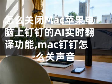 怎么關(guān)閉Mac蘋(píng)果電腦上釘釘?shù)腁I實(shí)時(shí)翻譯功能,mac釘釘怎么關(guān)聲音