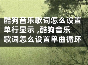 酷狗音樂歌詞怎么設(shè)置單行顯示 ,酷狗音樂歌詞怎么設(shè)置單曲循環(huán)