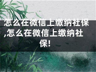 怎么在微信上繳納社保,怎么在微信上繳納社保!