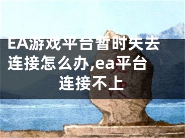 EA游戲平臺(tái)暫時(shí)失去連接怎么辦,ea平臺(tái)連接不上