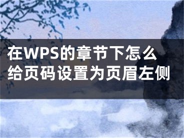 在WPS的章節(jié)下怎么給頁碼設(shè)置為頁眉左側(cè)