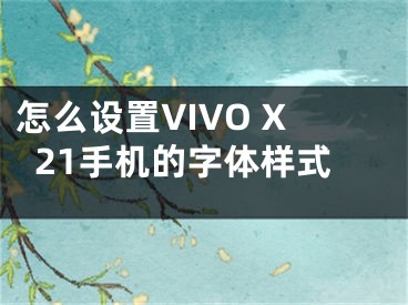 怎么設(shè)置VIVO X21手機(jī)的字體樣式