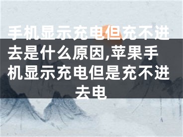 手機(jī)顯示充電但充不進(jìn)去是什么原因,蘋果手機(jī)顯示充電但是充不進(jìn)去電