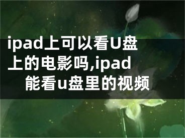 ipad上可以看U盤上的電影嗎,ipad能看u盤里的視頻