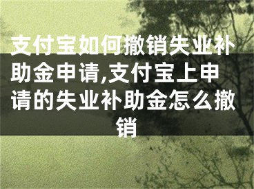 支付寶如何撤銷失業(yè)補(bǔ)助金申請,支付寶上申請的失業(yè)補(bǔ)助金怎么撤銷