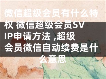 微信超級(jí)會(huì)員有什么特權(quán) 微信超級(jí)會(huì)員SVIP申請(qǐng)方法 ,超級(jí)會(huì)員微信自動(dòng)續(xù)費(fèi)是什么意思