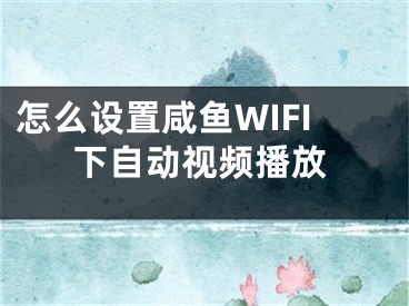 怎么設置咸魚WIFI下自動視頻播放