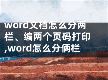 word文檔怎么分兩欄、編兩個頁碼打印 ,word怎么分倆欄