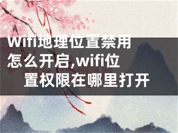 Wifi地理位置禁用怎么開啟,wifi位置權(quán)限在哪里打開