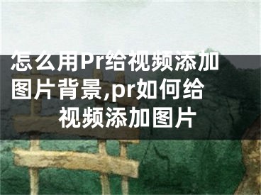 怎么用Pr給視頻添加圖片背景,pr如何給視頻添加圖片