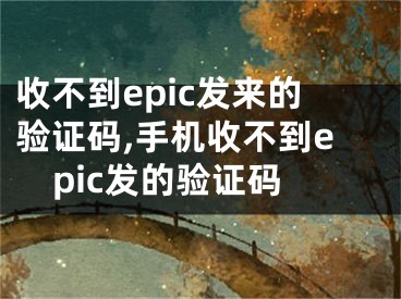 收不到epic發(fā)來的驗證碼,手機收不到epic發(fā)的驗證碼