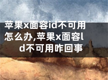 蘋果x面容id不可用怎么辦,蘋果x面容ld不可用咋回事