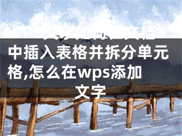 WPS文字如何在文檔中插入表格并拆分單元格,怎么在wps添加文字