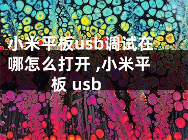 小米平板usb調(diào)試在哪怎么打開 ,小米平板 usb