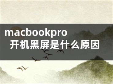 macbookpro開機(jī)黑屏是什么原因