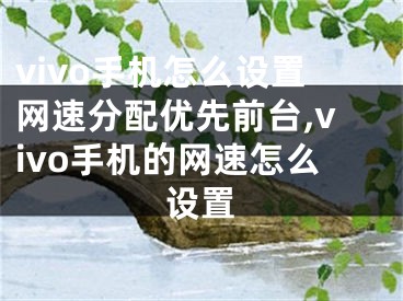 vivo手機(jī)怎么設(shè)置網(wǎng)速分配優(yōu)先前臺(tái),vivo手機(jī)的網(wǎng)速怎么設(shè)置