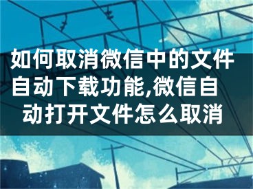 如何取消微信中的文件自動(dòng)下載功能,微信自動(dòng)打開(kāi)文件怎么取消