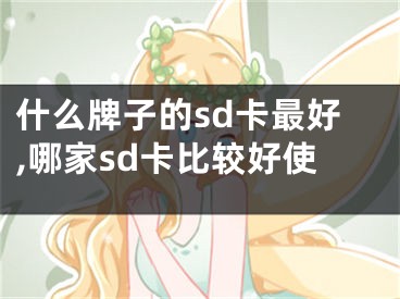 什么牌子的sd卡最好,哪家sd卡比較好使