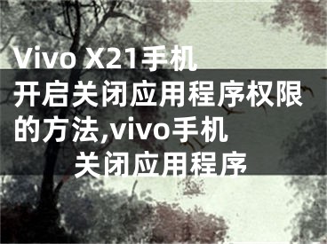 Vivo X21手機開啟關(guān)閉應(yīng)用程序權(quán)限的方法,vivo手機關(guān)閉應(yīng)用程序