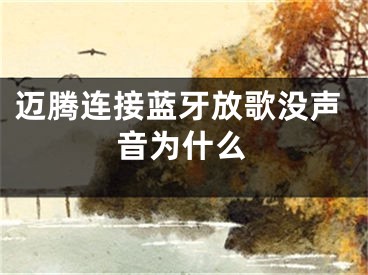 邁騰連接藍(lán)牙放歌沒(méi)聲音為什么