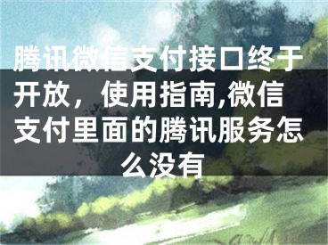 騰訊微信支付接口終于開放，使用指南,微信支付里面的騰訊服務(wù)怎么沒有