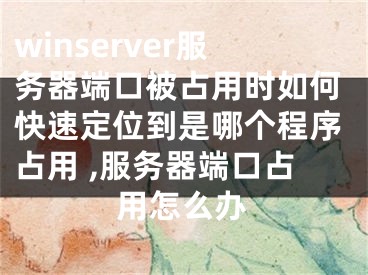 winserver服務(wù)器端口被占用時如何快速定位到是哪個程序占用 ,服務(wù)器端口占用怎么辦