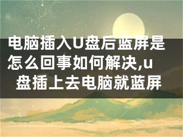 電腦插入U盤后藍屏是怎么回事如何解決,u盤插上去電腦就藍屏