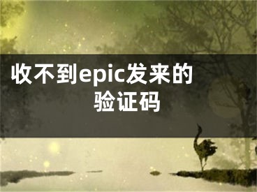 收不到epic發(fā)來的驗證碼