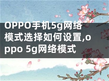 OPPO手機(jī)5g網(wǎng)絡(luò)模式選擇如何設(shè)置,oppo 5g網(wǎng)絡(luò)模式