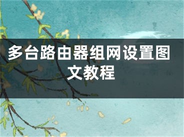 多臺(tái)路由器組網(wǎng)設(shè)置圖文教程