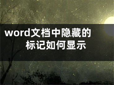 word文檔中隱藏的標(biāo)記如何顯示