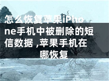 怎么恢復蘋果iPhone手機中被刪除的短信數(shù)據(jù) ,蘋果手機在哪恢復