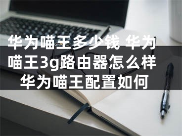 華為喵王多少錢 華為喵王3g路由器怎么樣 華為喵王配置如何