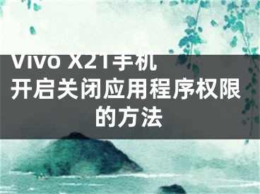 Vivo X21手機(jī)開啟關(guān)閉應(yīng)用程序權(quán)限的方法