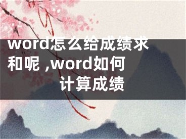 word怎么給成績求和呢 ,word如何計算成績