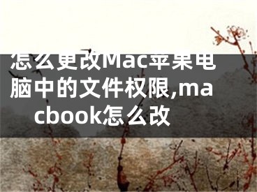 怎么更改Mac蘋果電腦中的文件權(quán)限,macbook怎么改