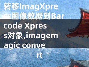 轉(zhuǎn)移ImagXpress圖像數(shù)據(jù)到Barcode Xpress對象,imagemagic convert