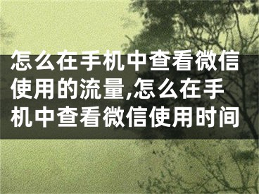 怎么在手機(jī)中查看微信使用的流量,怎么在手機(jī)中查看微信使用時(shí)間