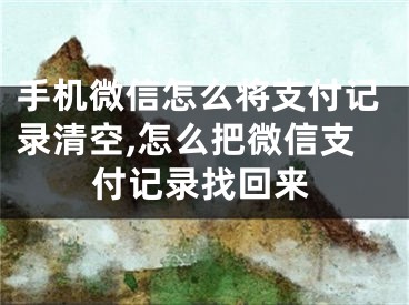 手機(jī)微信怎么將支付記錄清空,怎么把微信支付記錄找回來(lái)