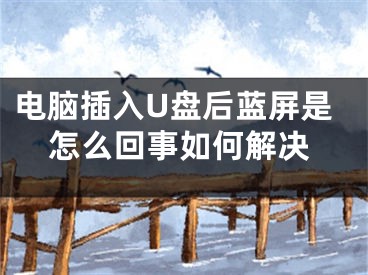 電腦插入U盤后藍屏是怎么回事如何解決